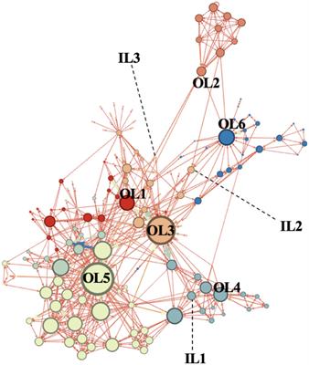 Is the Role of Ideologists Central in Terrorist Networks? A Social Network Analysis of Indonesian Terrorist Groups